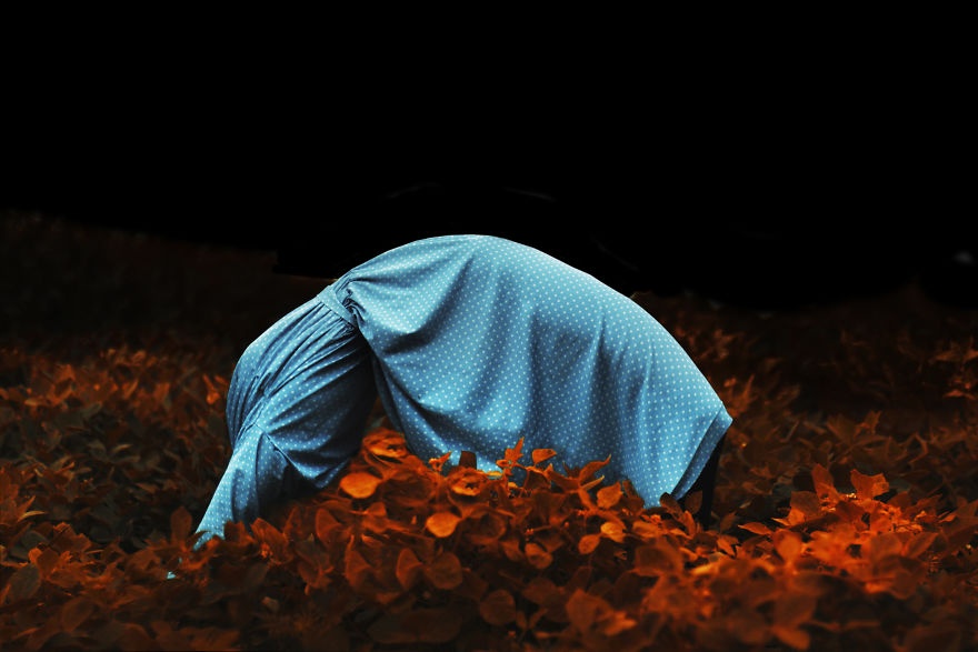 Bo anh khong dau truu tuong anh 4