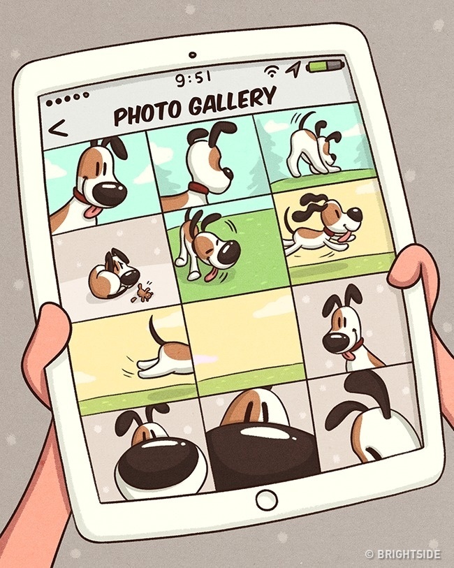 cuộc sống khi nuôi thú cưng ảnh 2 cuoc song khi nuoi thu cung anh 2