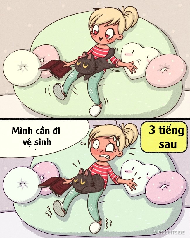 cuộc sống khi nuôi thú cưng ảnh 1 cuoc song khi nuoi thu cung anh 1