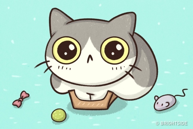 cuộc sống khi nuôi thú cưng ảnh 10 cuoc song khi nuoi thu cung anh 10