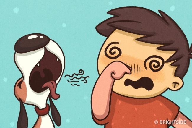 cuộc sống khi nuôi thú cưng ảnh 8 cuoc song khi nuoi thu cung anh 8