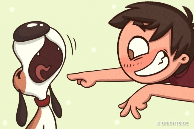 cuộc sống khi nuôi thú cưng ảnh 5 cuoc song khi nuoi thu cung anh 5