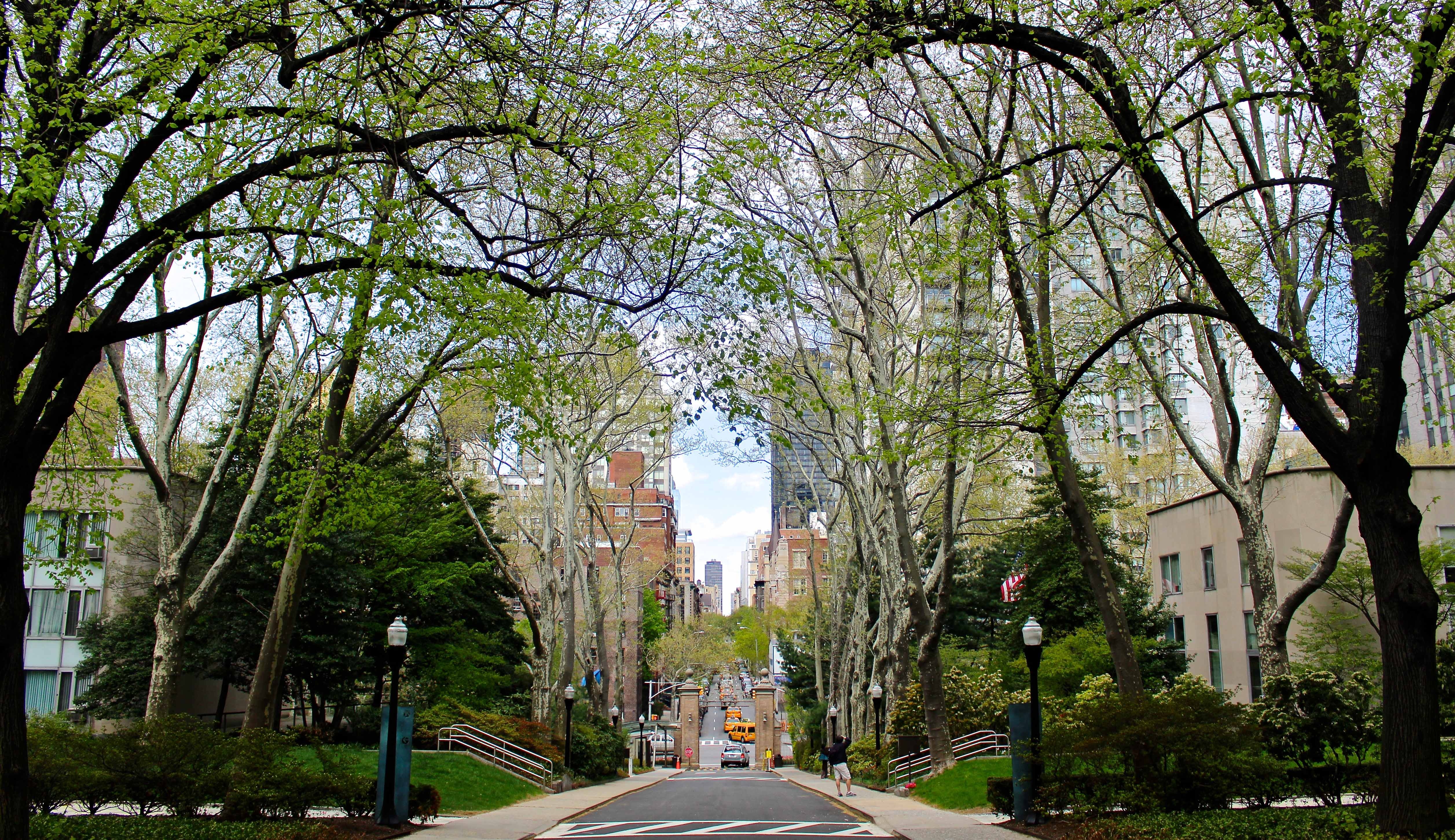 Nobel Y Sinh 2017 anh 12