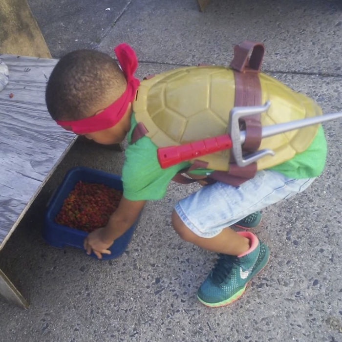 cau be 5 tuoi cham soc nhung chu meo hoang anh 3