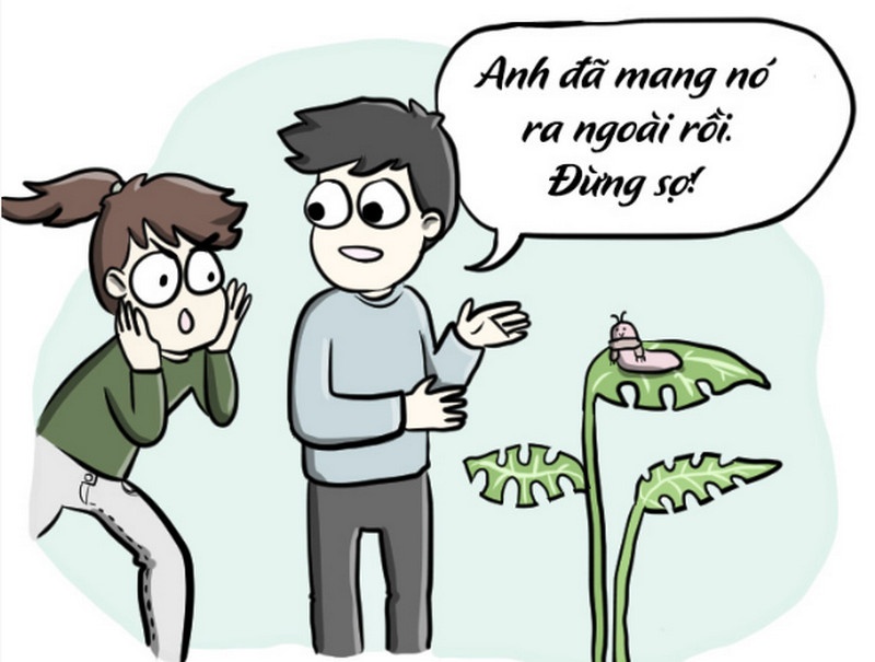 6 cong dung cua ban trai thoi nay la gi? hinh anh