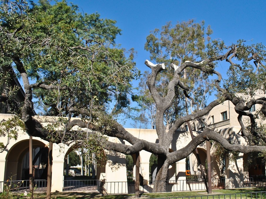 dai hoc tot nhat the gioi anh 10