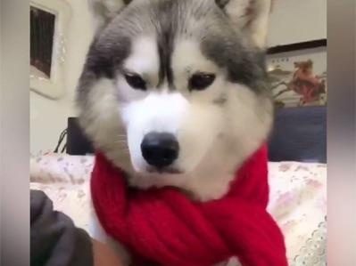 Trao luu tao vong mot bang khan quang am ap hinh anh