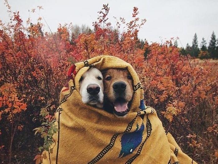 Khung canh tuyet dep duoc ban tre ghi lai trong hanh trinh cua minh hinh anh