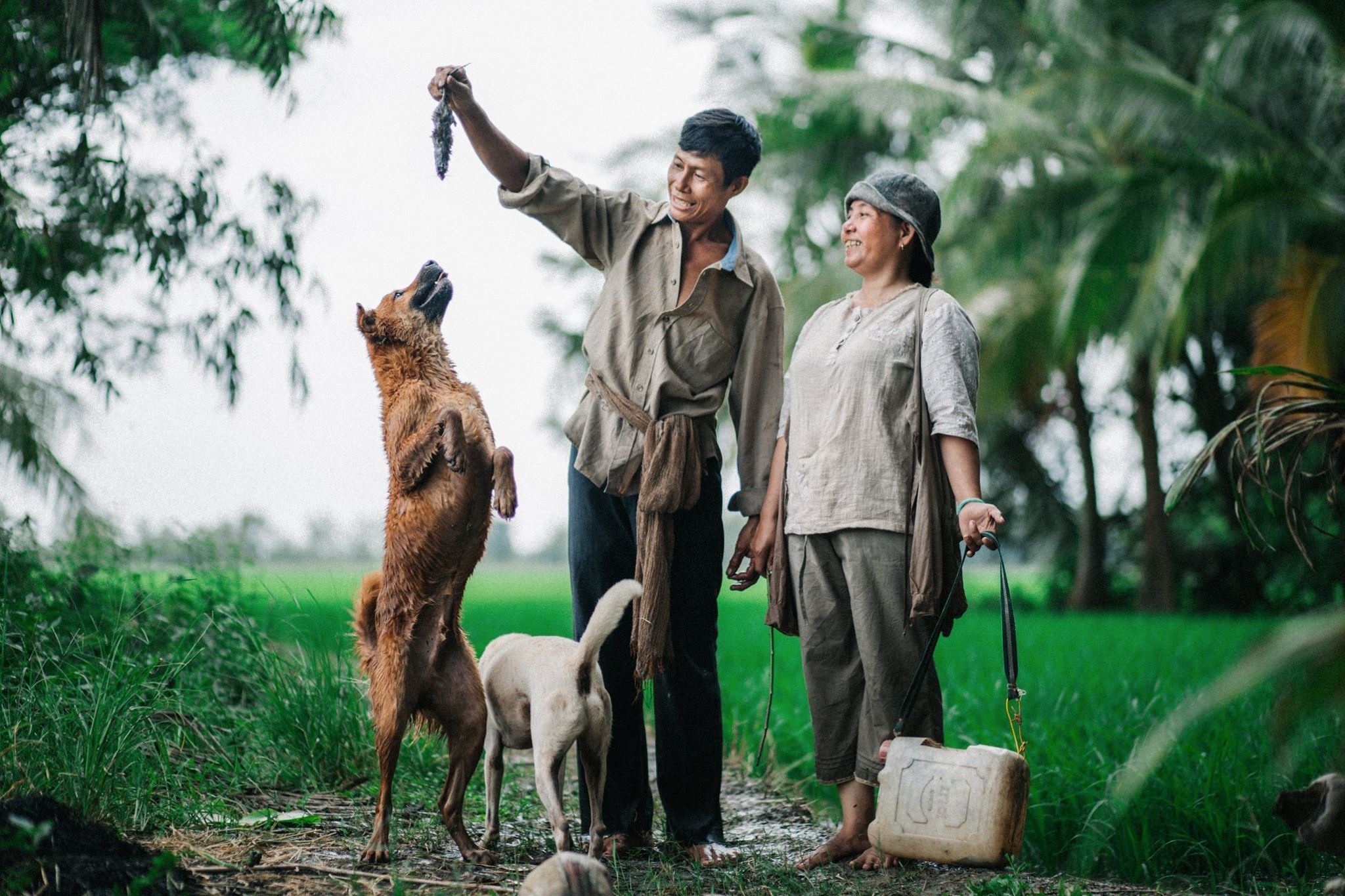 bo anh binh di cua cap vo chong anh 8