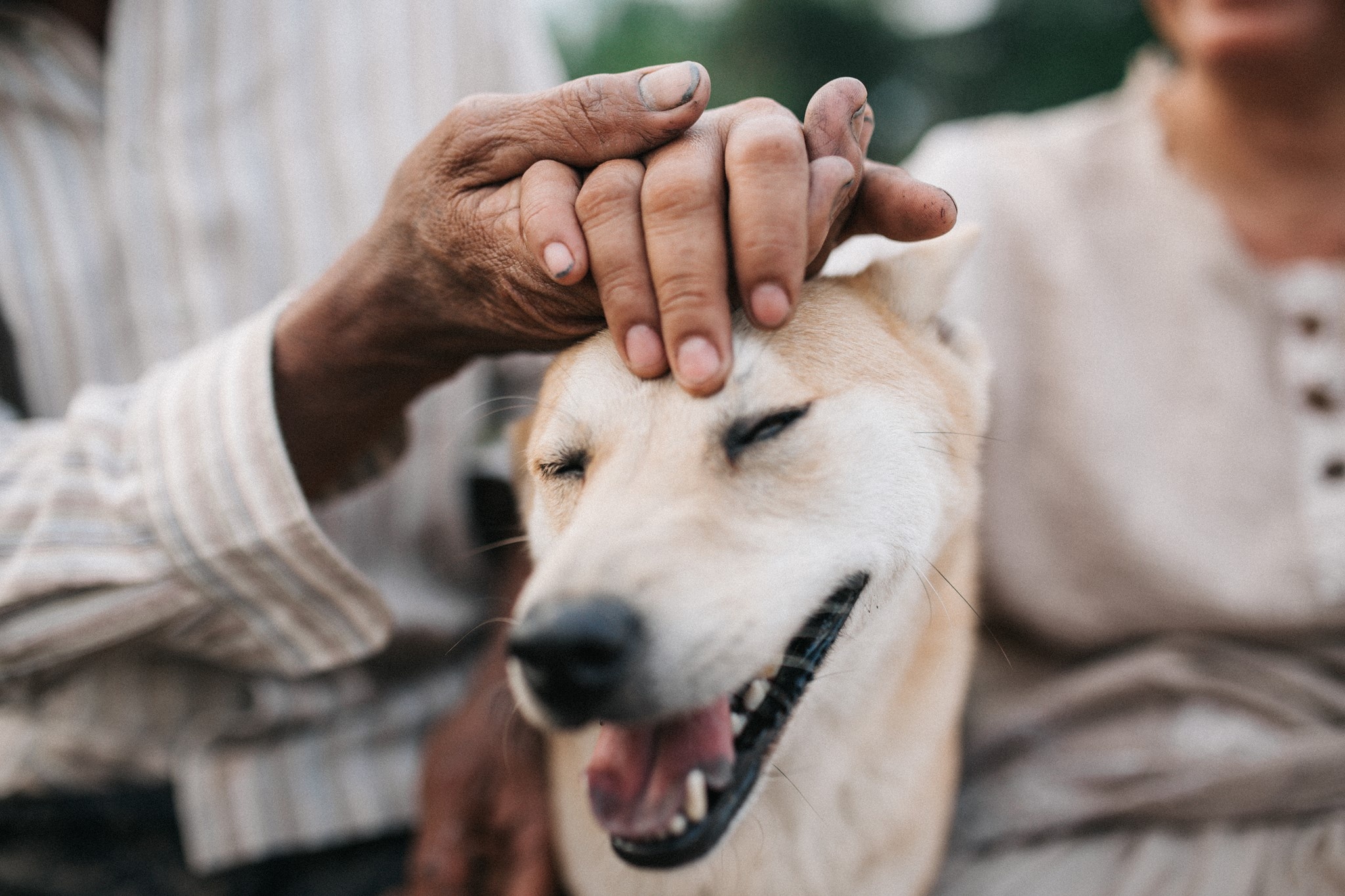 bo anh binh di cua cap vo chong anh 3
