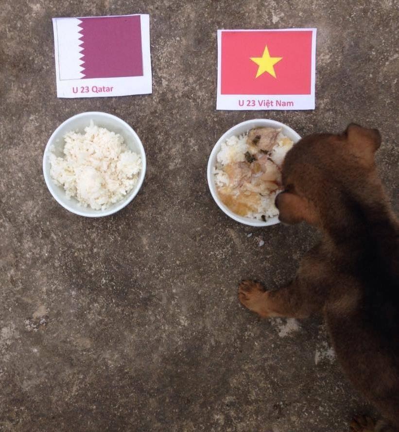 cổ vũ U23 Việt Nam ảnh 6 co vu U23 Viet Nam anh 6