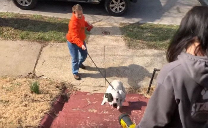 giai cuu chu cho bi bo roi anh 2