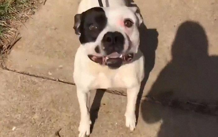 Hanh trinh giai cuu chu cho bi bo roi hinh anh