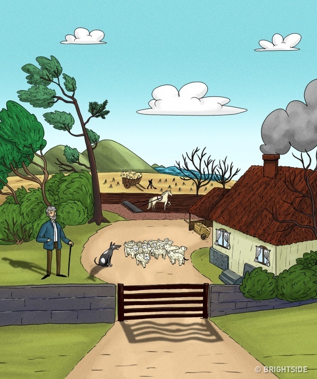 cau do tim diem bat thuong anh 1