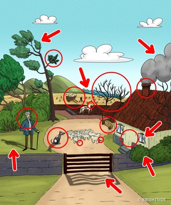 cau do tim diem bat thuong anh 2