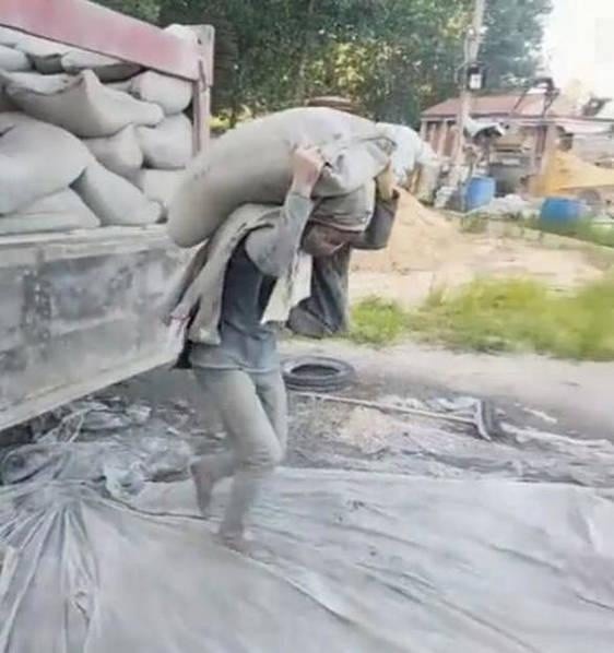 cô gái mỗi ngày vác 20 tấn xi măng ảnh 1 co gai moi ngay vac 20 tan xi mang anh 1