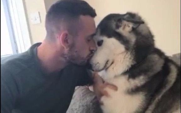 Loat tinh huong hai huoc chi nguoi nuoi cho moi hieu hinh anh