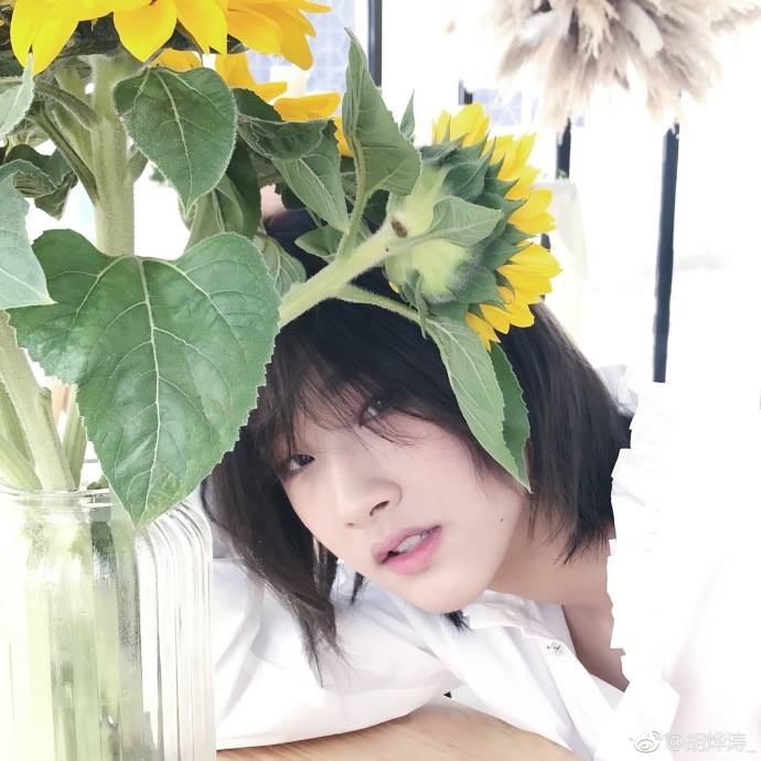 chang trai dep phi gioi tinh anh 8