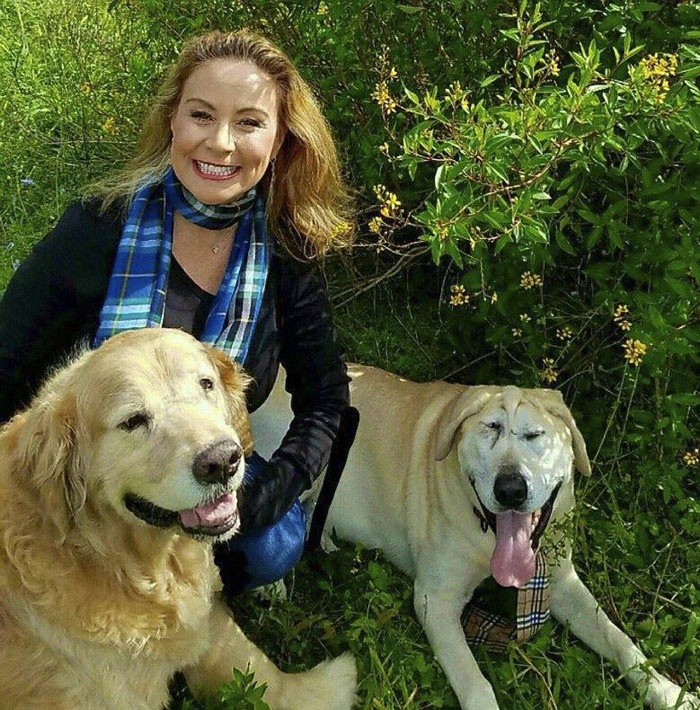 chu cho bi bo roi vi xau xi anh 6