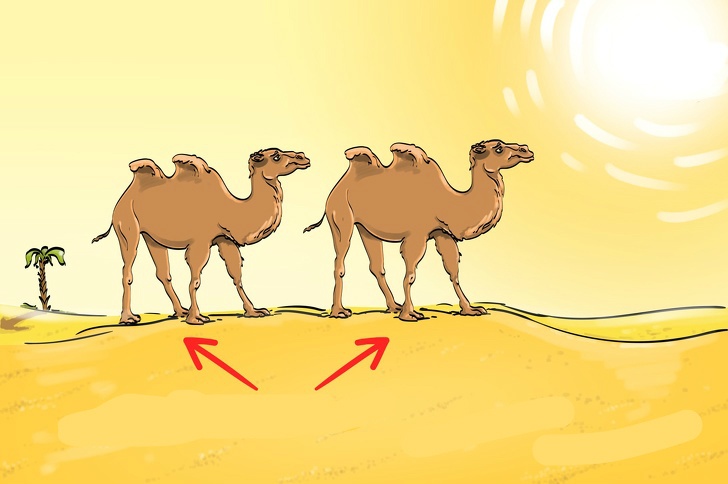 cau do tim diem bat thuong anh 12