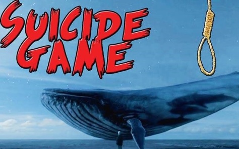 Gioi tre Viet: 'Co dien moi tham gia trao luu Ca voi xanh' hinh anh