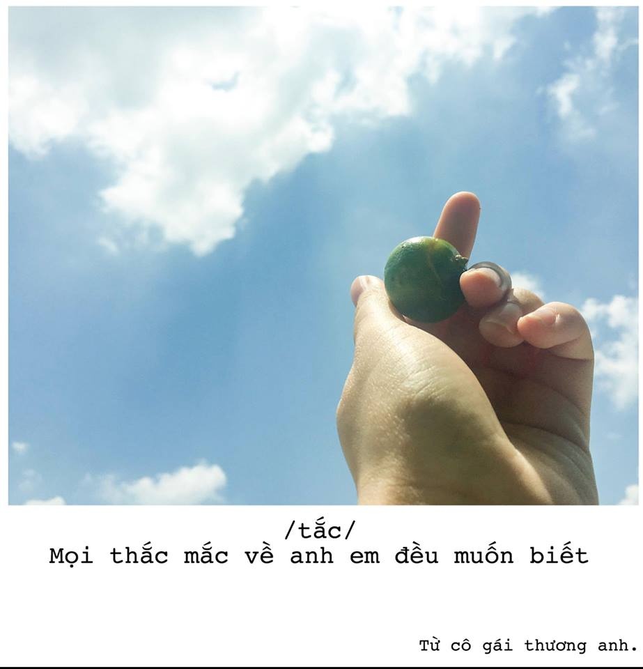 to tinh bang hoa qua anh 5