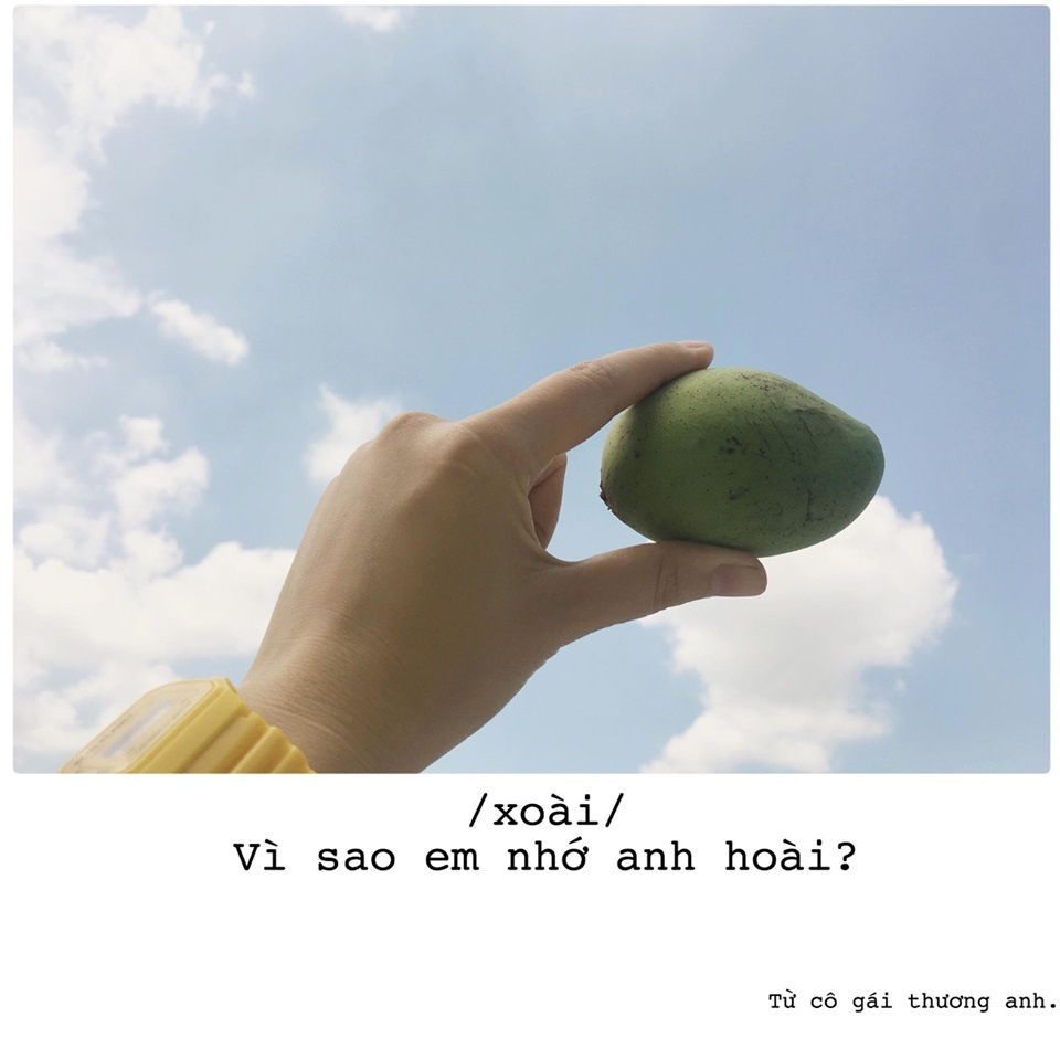 to tinh bang hoa qua anh 6