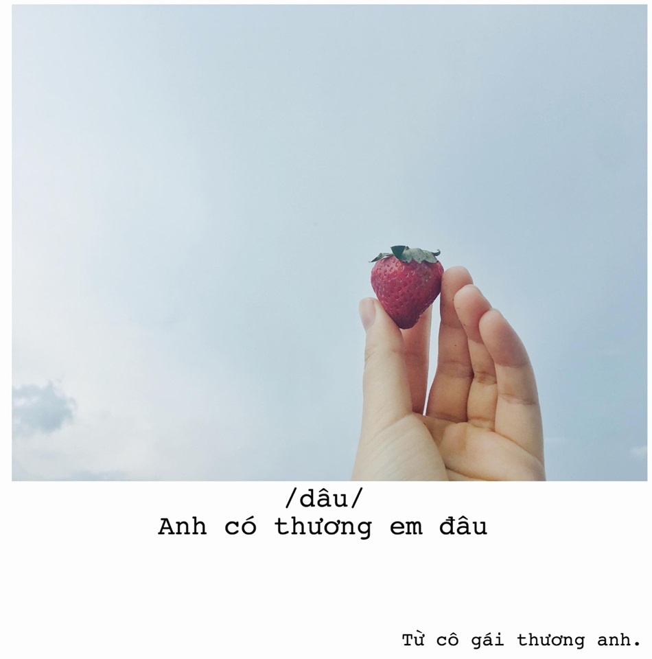 to tinh bang hoa qua anh 7