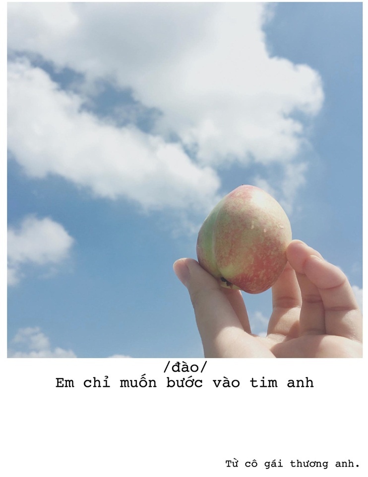 to tinh bang hoa qua anh 9