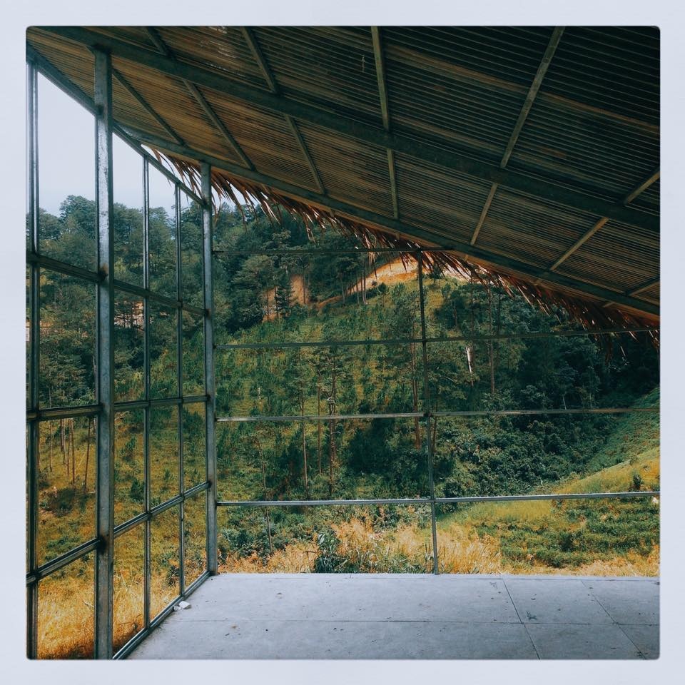 4 homestay yen tinh tai Da Lat anh 2