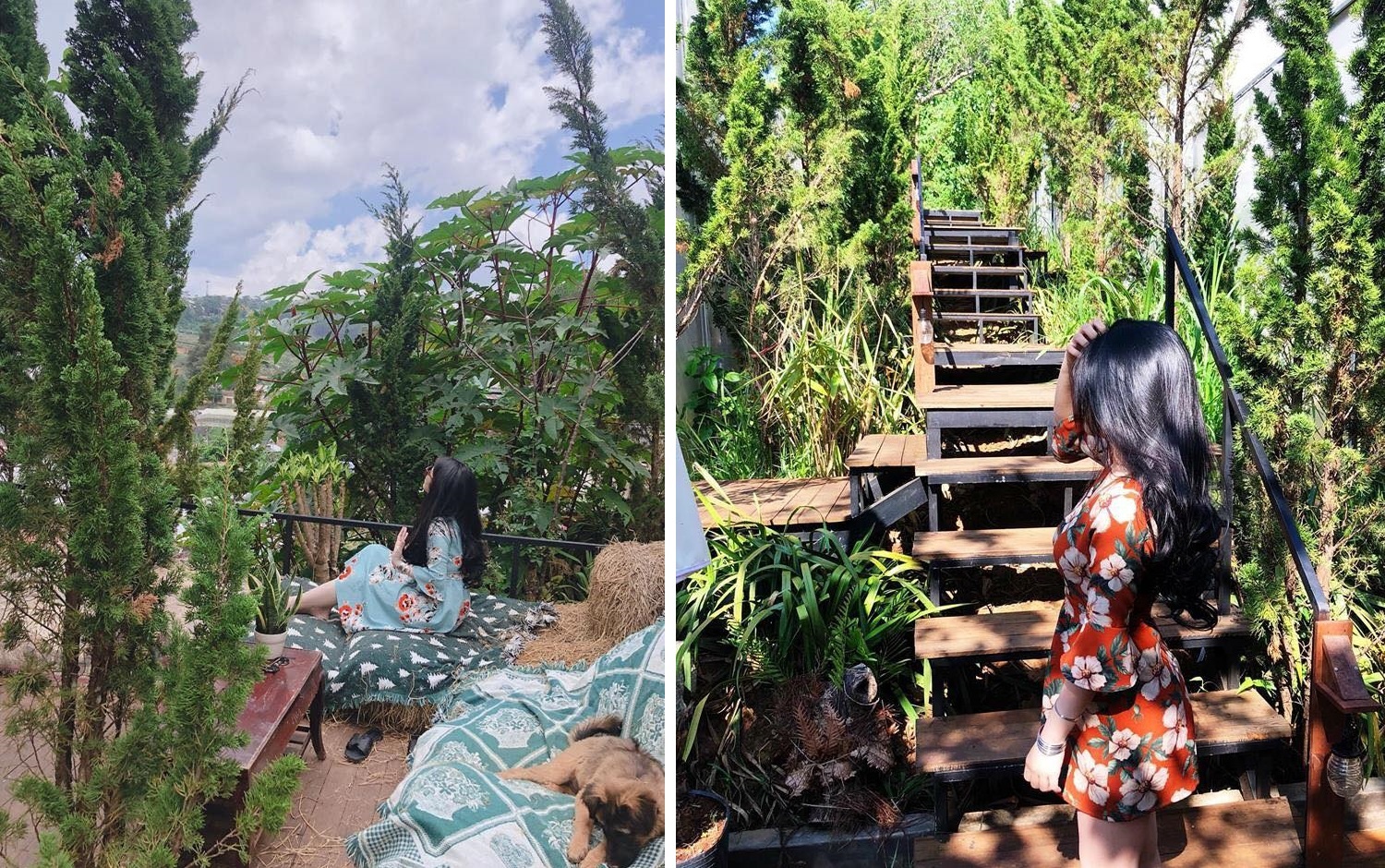 4 homestay yen tinh tai Da Lat anh 10