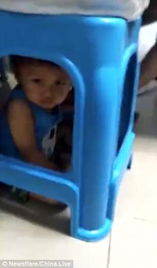 me nhot con duoi gam ghe anh 1