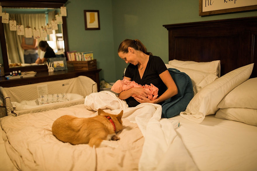 chu cho corgi luon ben canh ba bau anh 12