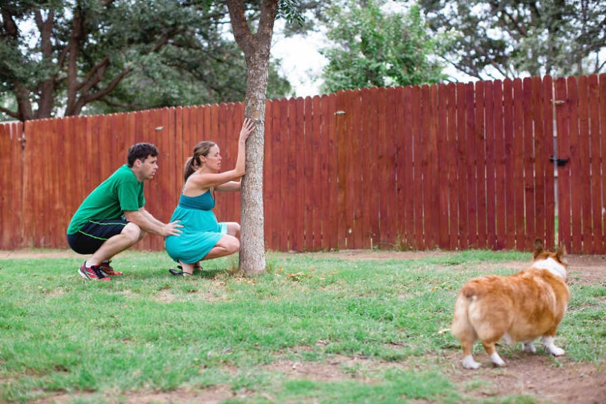 chu cho corgi luon ben canh ba bau anh 2