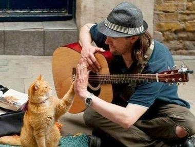 5 cau chuyen nay se giup ban mim cuoi, co niem tin vao cuoc song hinh anh