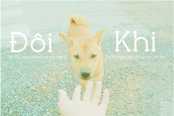 Bộ ảnh sáng tạo khi rửa bát ảnh 13 Bo anh sang tao khi rua bat anh 13