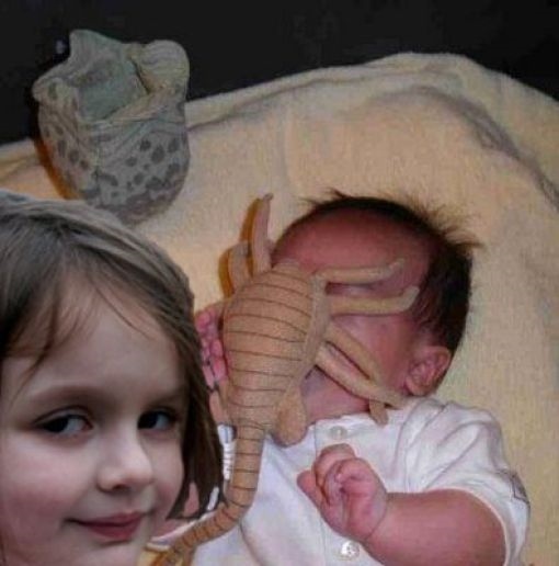 ảnh chế Cô bé thảm họa ảnh 5 anh che Co be tham hoa anh 5