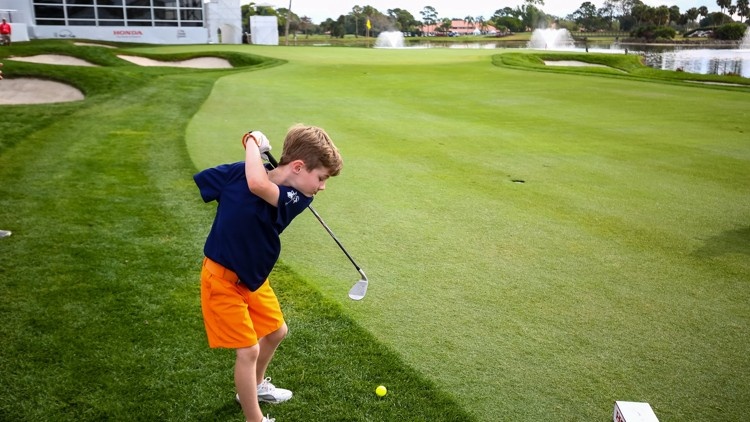 Cau be mot tay choi golf chuyen nghiep hinh anh