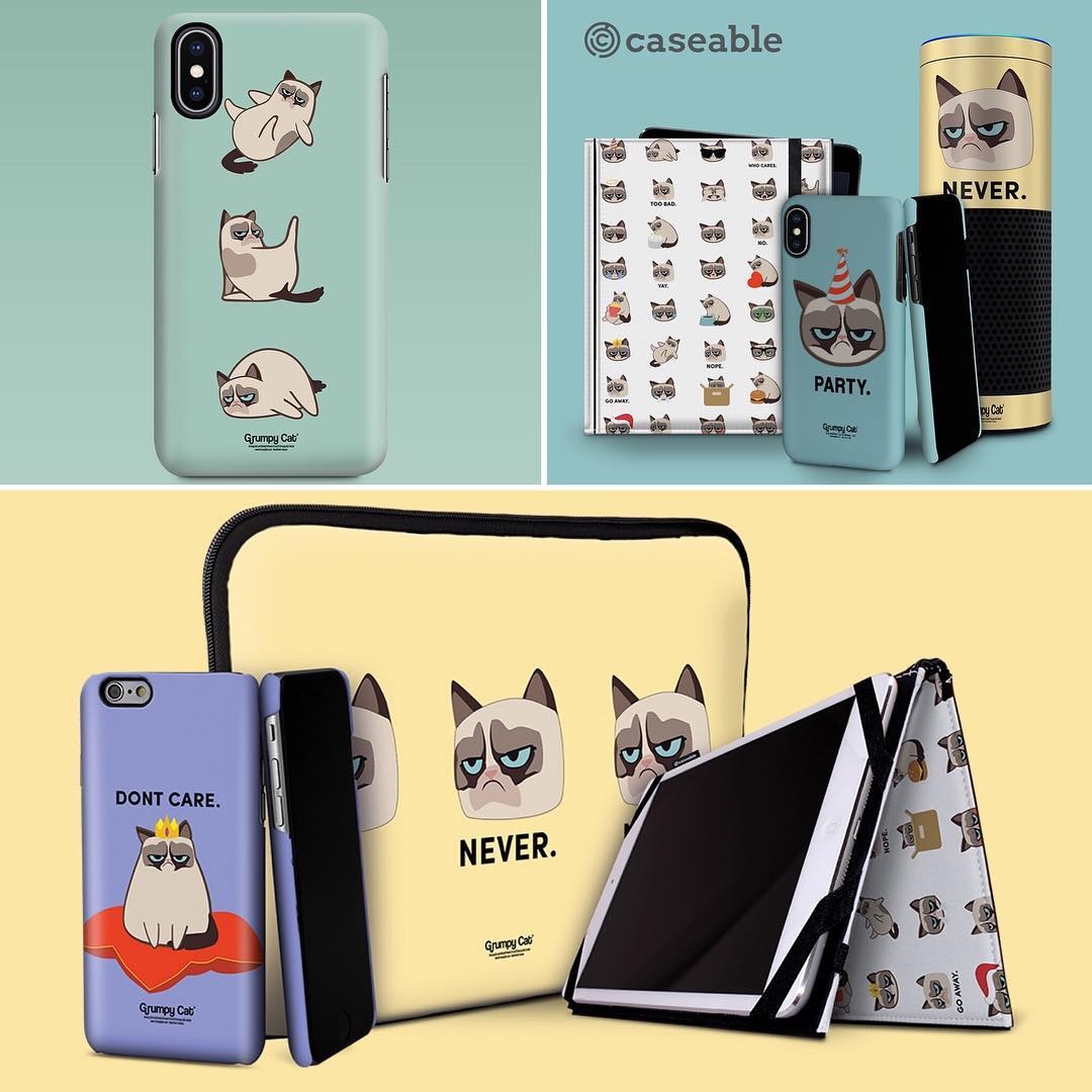 chu meo kiem nhieu tien nhat the gioi anh 3