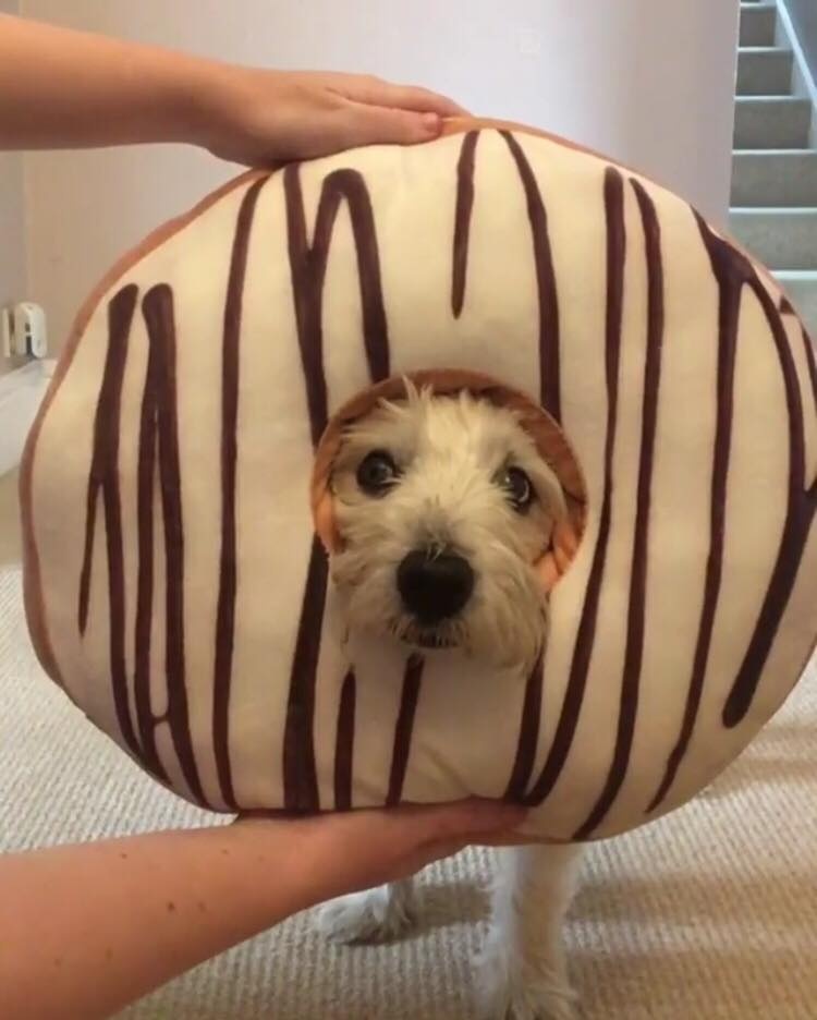 thu thach chiec mui anh 2