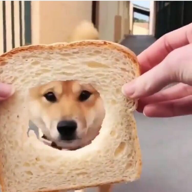 thu thach chiec mui anh 3