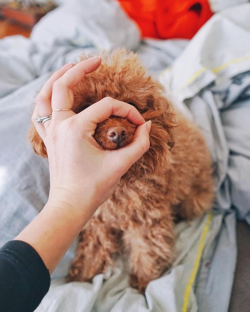 thu thach chiec mui anh 5