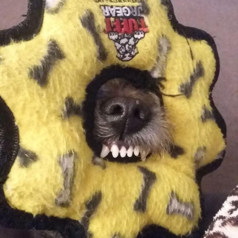 thu thach chiec mui anh 4