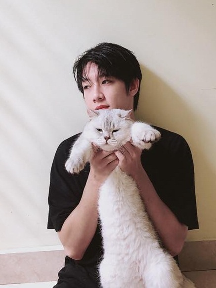 9X Hai Phong dien trai chup anh voi meo anh 7