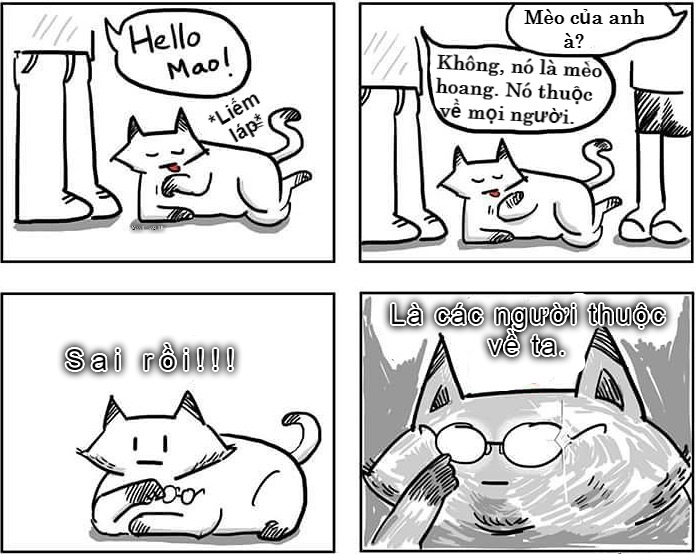 khac biet giua cho va meo anh 5