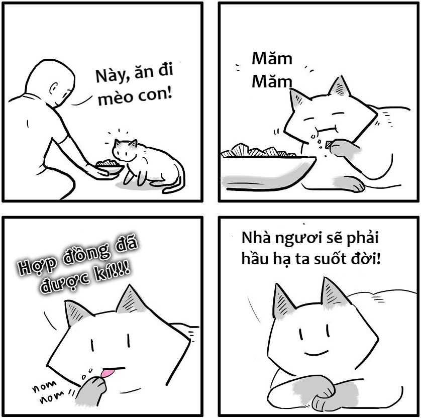 khac biet giua cho va meo anh 2