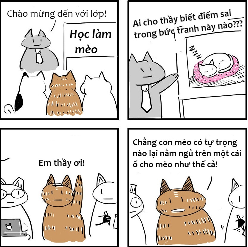 khac biet giua cho va meo anh 6