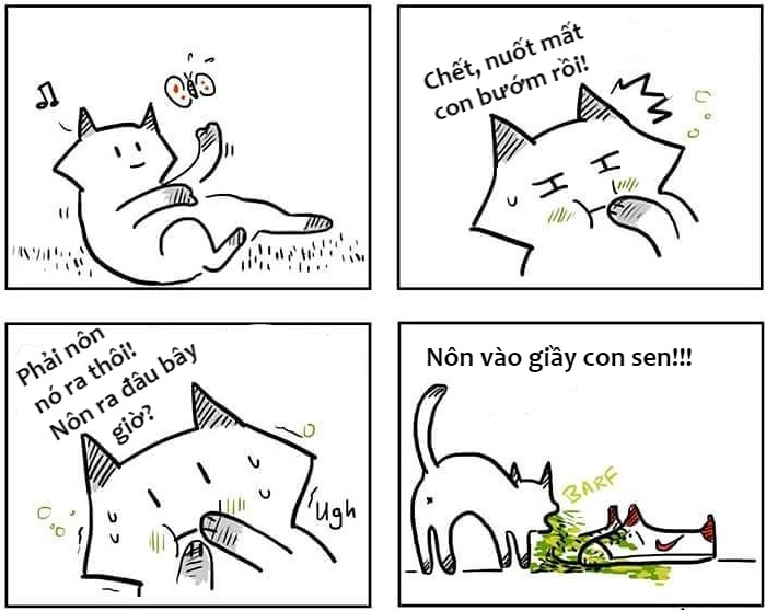 khac biet giua cho va meo anh 11