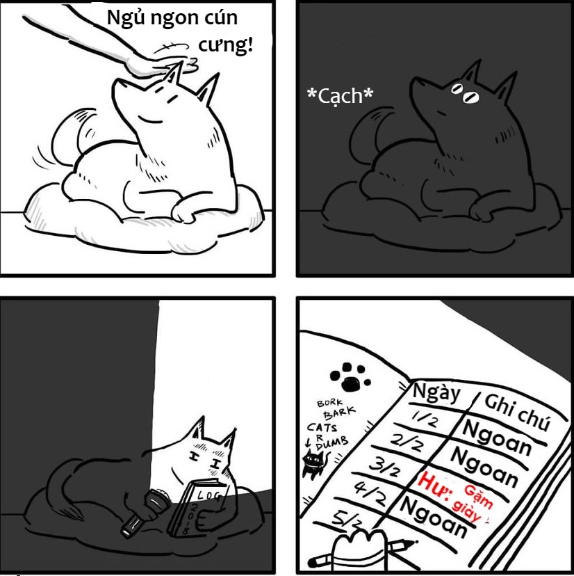 khac biet giua cho va meo anh 9