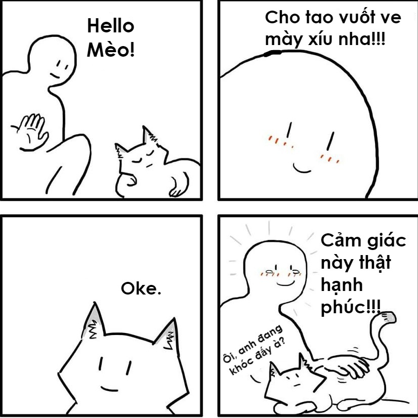 khac biet giua cho va meo anh 8